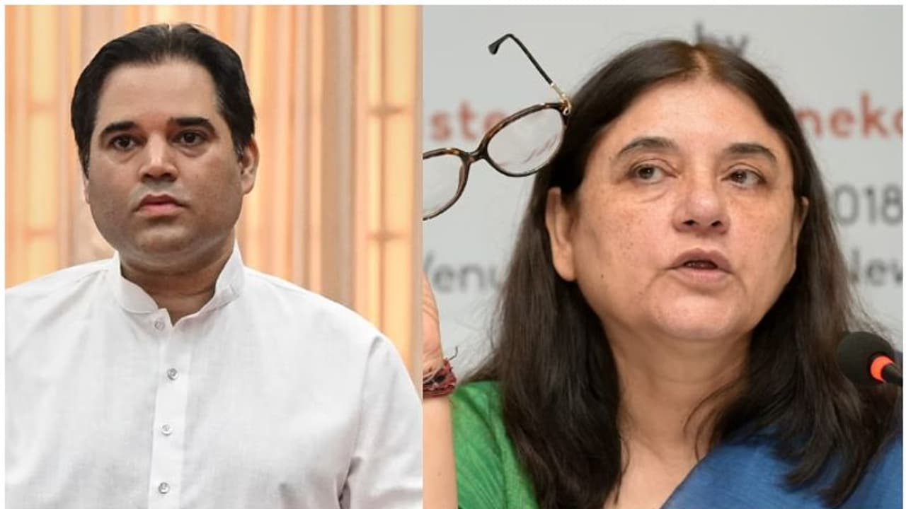 'വരുണിന് സീറ്റ് നൽക്കാത്തതിൽ സങ്കടം, കേന്ദ്ര സർക്കാറിനെ വിമർശിച്ചതാകാം കാരണം'; തുറന്ന് പറഞ്ഞ് മനേക ഗാന്ധി 'വരുണിന് സീറ്റ് നൽക്കാത്തതിൽ സങ്കടം, കേന്ദ്ര സർക്കാറിനെ വിമർശിച്ചതാകാം കാരണം'; തുറന്ന് പറഞ്ഞ് മനേക ഗാന്ധി