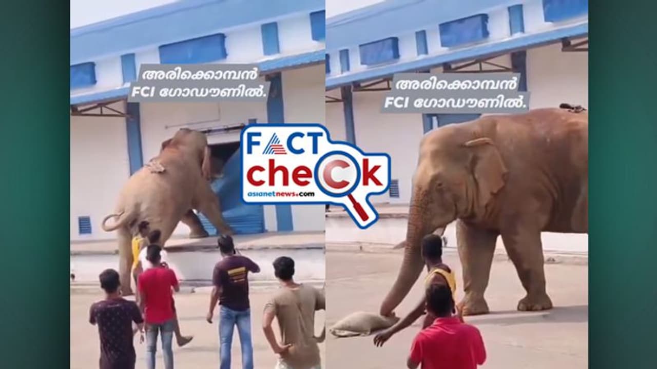 എഫ്സിഐ ഗോഡൗണ് പൊളിച്ച് അരിച്ചാക്കുമായി മുങ്ങി അരിക്കൊമ്പന് എന്ന് വീഡിയോ, സത്യമോ? Fact Check എഫ്സിഐ ഗോഡൗണ് പൊളിച്ച് അരിച്ചാക്കുമായി മുങ്ങി അരിക്കൊമ്പന് എന്ന് വീഡിയോ, സത്യമോ? Fact Check