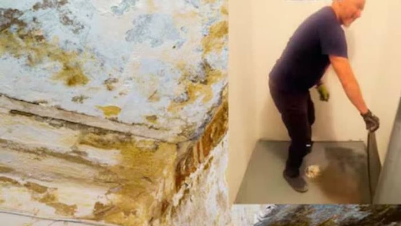 നാല് വർഷമായി താമസിക്കുന്ന വീട്ടിൽ ഒരു രഹസ്യമുറി, ഞെട്ടൽ മാറാതെ ദമ്പതികൾ നാല് വർഷമായി താമസിക്കുന്ന വീട്ടിൽ ഒരു രഹസ്യമുറി, ഞെട്ടൽ മാറാതെ ദമ്പതികൾ