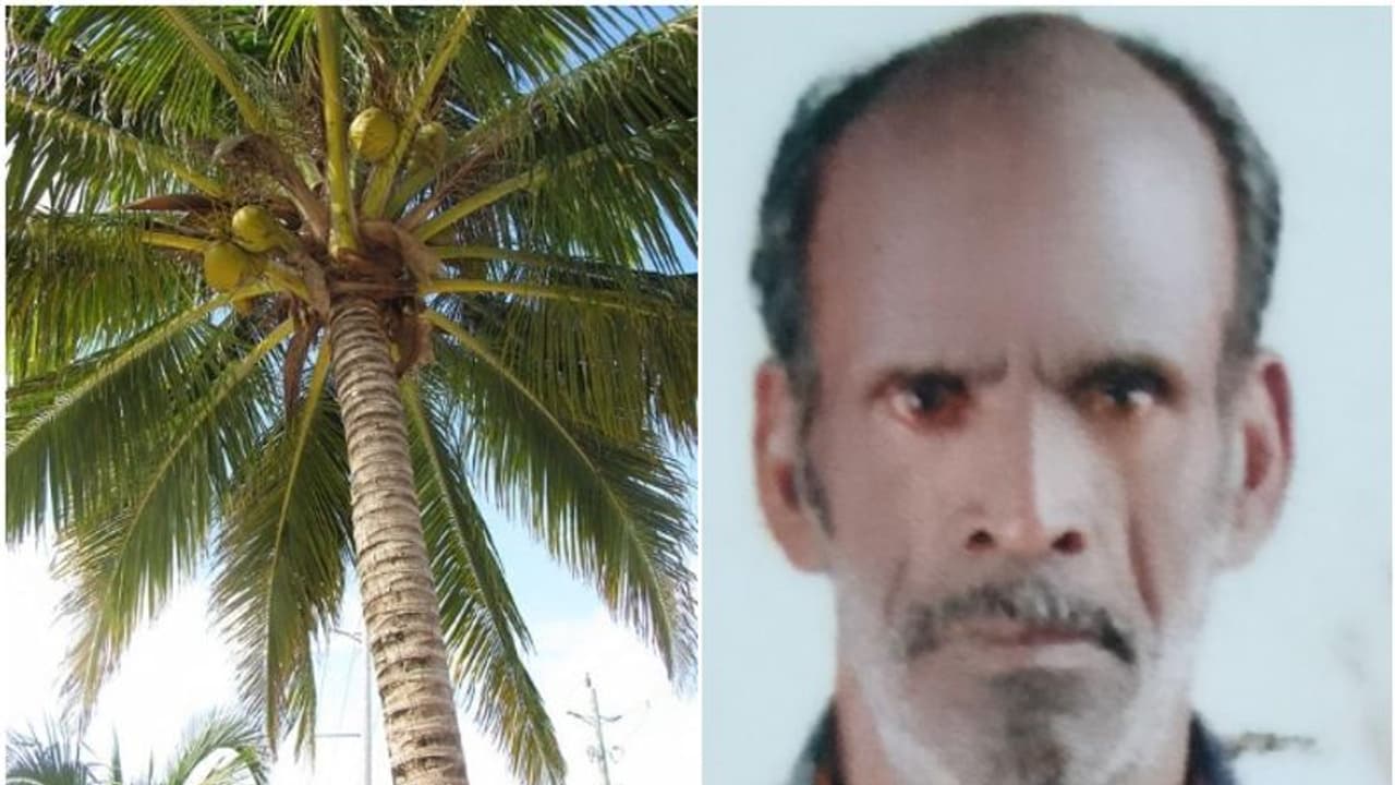 തെങ്ങിന്റെ മുകളിലെത്തിയപ്പോൾ ശാരീരിക അസ്വസ്ഥത, വീഴാതിരിക്കാൻ കയറെടുത്ത് തെങ്ങുമായി ബന്ധിപ്പിച്ചു; ഒടുവിൽ മരണം തെങ്ങിന്റെ മുകളിലെത്തിയപ്പോൾ ശാരീരിക അസ്വസ്ഥത, വീഴാതിരിക്കാൻ കയറെടുത്ത് തെങ്ങുമായി ബന്ധിപ്പിച്ചു; ഒടുവിൽ മരണം