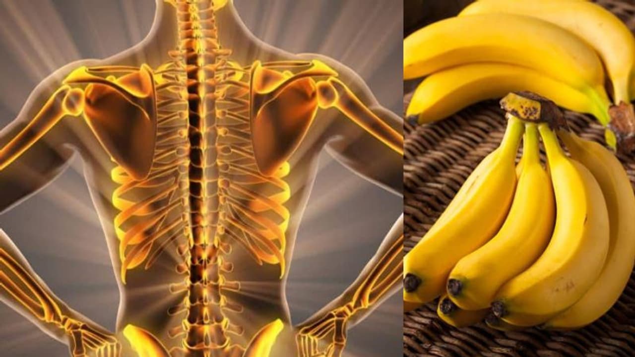 Health Tips: എല്ലുകളുടെ ആരോഗ്യത്തിനായി കഴിക്കാം മഗ്നീഷ്യം അടങ്ങിയ ഈ ഏഴ് ഭക്ഷണങ്ങള്... Health Tips: എല്ലുകളുടെ ആരോഗ്യത്തിനായി കഴിക്കാം മഗ്നീഷ്യം അടങ്ങിയ ഈ ഏഴ് ഭക്ഷണങ്ങള്...