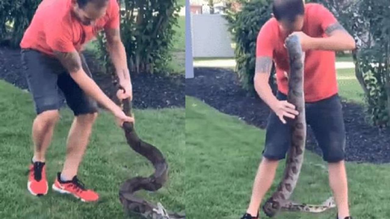 'ബ്രോക്ക് കിട്ടേണ്ടത് കിട്ടി'; പാമ്പിനെ കയ്യിലെടുത്ത് അഭ്യാസം, പിന്നാലെ പണി മേടിച്ച് യുവാവ്, വീഡിയോ