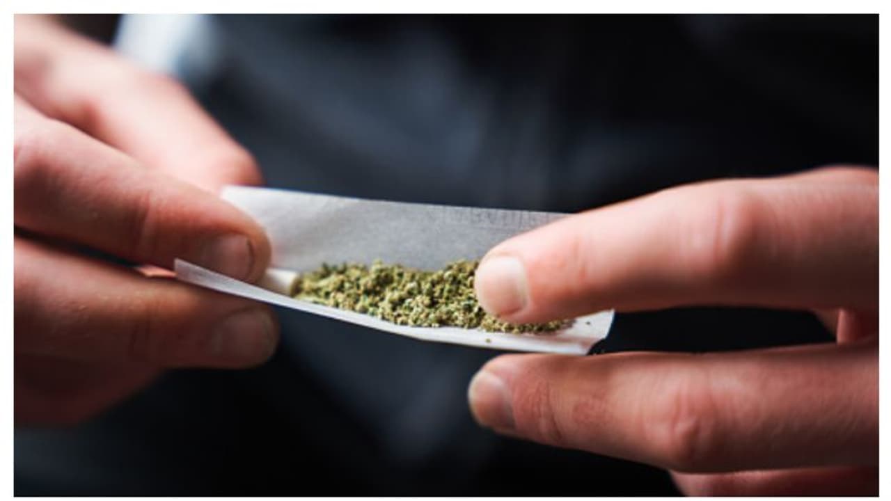 കഞ്ചാവ് വലിക്കാം, വീട്ടിൽ നട്ടുവളര്‍ത്താം, അതും മൂന്ന് ചെടികൾ വരെ; ആഘോഷിച്ച് ആളുകൾ, പുതിയ നിയമം ജര്‍മ്മനിയിൽ 