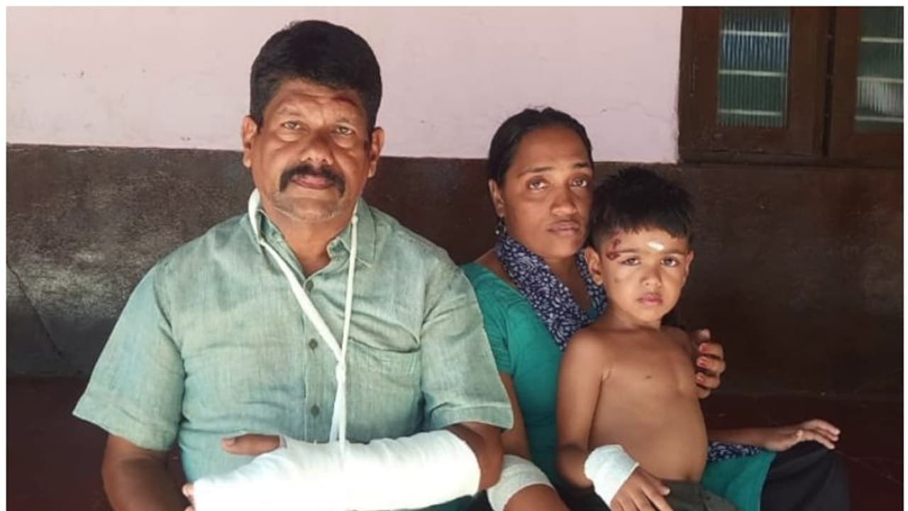 ബൈക്കിൽ പോകവേ കാട്ടുപന്നി പാഞ്ഞ് വന്നിടിച്ചു; 5 വയസുകാരനും മാതാപിതാക്കള്ക്കും പരിക്ക് ബൈക്കിൽ പോകവേ കാട്ടുപന്നി പാഞ്ഞ് വന്നിടിച്ചു; 5 വയസുകാരനും മാതാപിതാക്കള്ക്കും പരിക്ക്