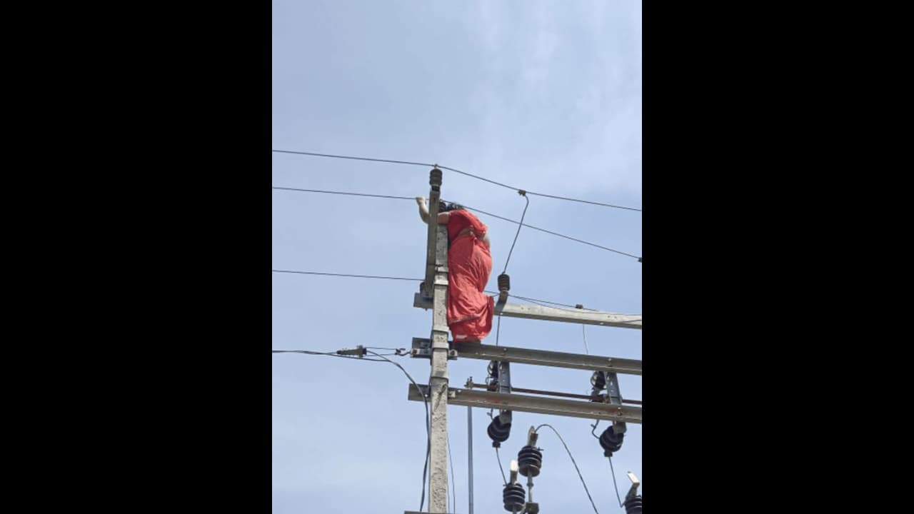 Viral video: Woman climbs electric pole in Gorakhpur amidst ruckus over illicit affair (WATCH)