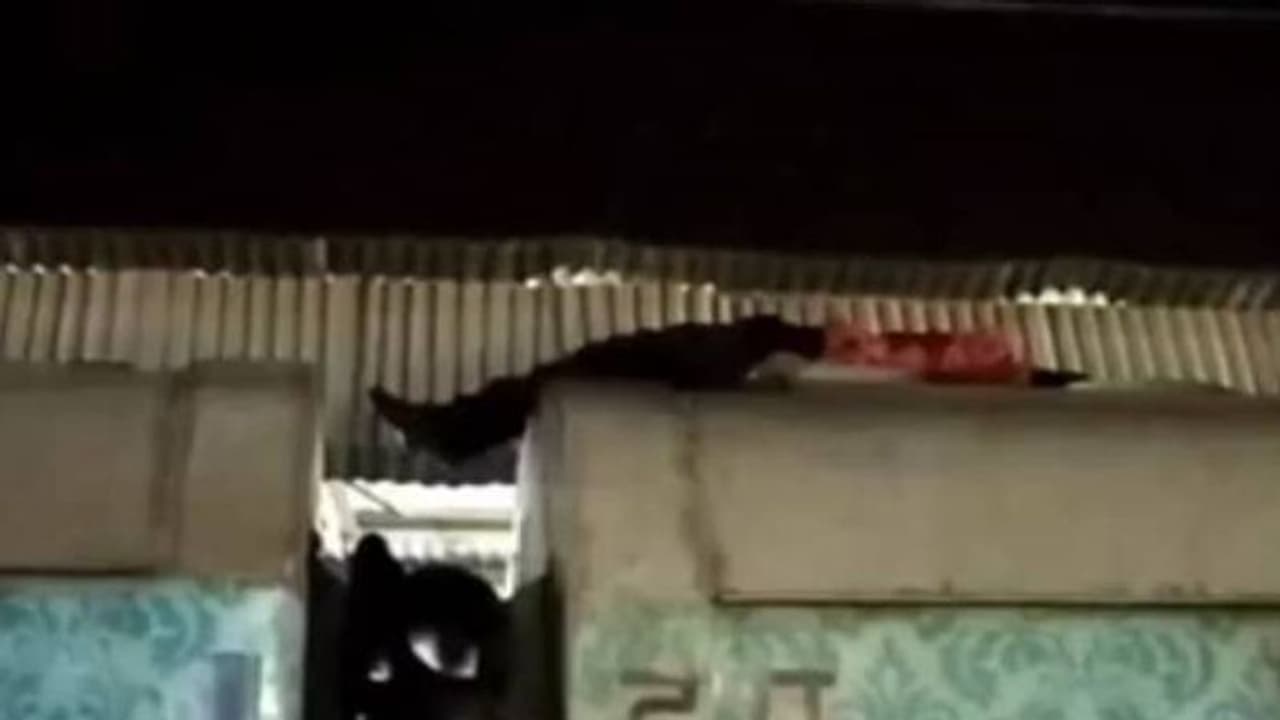 എങ്ങനെ സാധിക്കുന്നു? മണിക്കൂറിൽ 100 കിമി വേഗത്തിലോടുന്ന ട്രെയിനിന് മുകളിൽ കിടന്നുറങ്ങി യുവാവ് എങ്ങനെ സാധിക്കുന്നു? മണിക്കൂറിൽ 100 കിമി വേഗത്തിലോടുന്ന ട്രെയിനിന് മുകളിൽ കിടന്നുറങ്ങി യുവാവ്