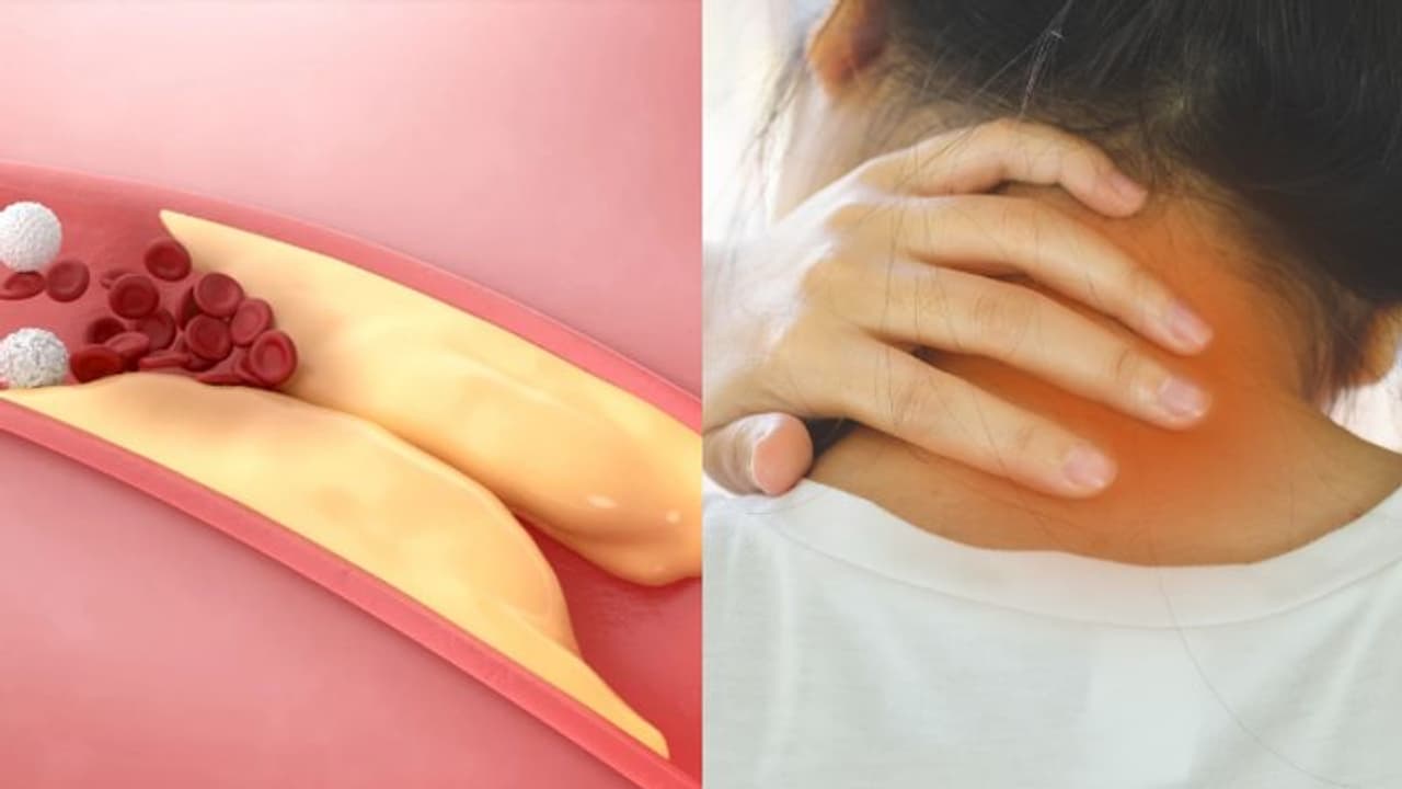 ശരീരത്തിലെ ഈ ഏഴ് ഇടങ്ങളില് കാണുന്ന സൂചനകള് അവഗണിക്കരുത്; ചീത്ത കൊളസ്ട്രോളിന്റെയാകാം... ശരീരത്തിലെ ഈ ഏഴ് ഇടങ്ങളില് കാണുന്ന സൂചനകള് അവഗണിക്കരുത്; ചീത്ത കൊളസ്ട്രോളിന്റെയാകാം...