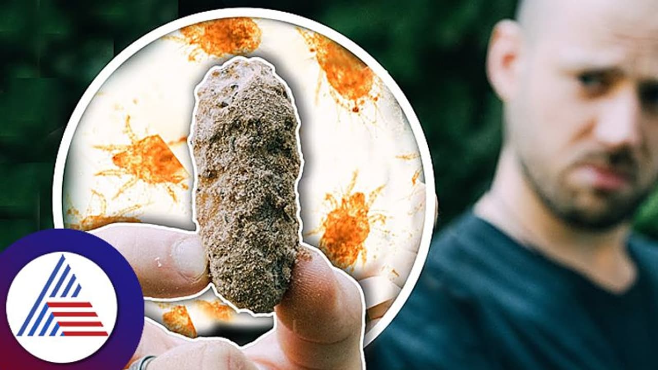 ಯಬ್ಬಾ, ಸ್ಪೈಡರ್ ಚೀಸ್ ಅಂತೆ, ಅದ್ಹೇಗೆ ಮಾಡ್ತಾರೋ, ಯಾರು ತಿಂತಾರೋ ಗೊತ್ತಿಲ್ಲ!