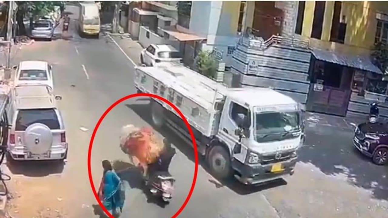 Bull's road rage in Bengaluru caught on camera: Truck driver's timely brake saves biker's life (WATCH) Bull's road rage in Bengaluru caught on camera: Truck driver's timely brake saves biker's life (WATCH)