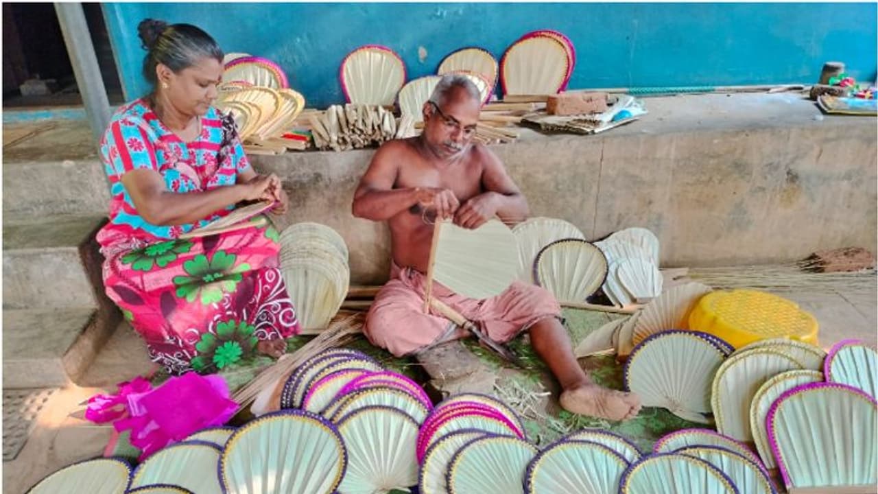 കരിമ്പനത്തൈകളുടെ പട്ട കൊണ്ട് നിർമാണം, പൊള്ളുന്ന ചൂടിൽ പൂരപ്രേമികള്ക്ക് ആശ്വാസമായി മണികണ്ഠന്റെ വിശറികൾ കരിമ്പനത്തൈകളുടെ പട്ട കൊണ്ട് നിർമാണം, പൊള്ളുന്ന ചൂടിൽ പൂരപ്രേമികള്ക്ക് ആശ്വാസമായി മണികണ്ഠന്റെ വിശറികൾ