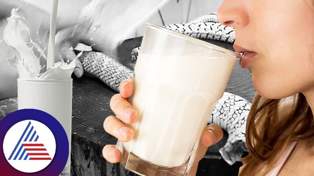 ಹಾವು – ಇಲಿ ತಿನ್ನೋರಿಗೆ ಹಾಲು ಜೀರ್ಣಿಸಿಕೊಳ್ಳೇಕೆ ಸಾಧ್ಯವಿಲ್ಲ! ಹಾವು – ಇಲಿ ತಿನ್ನೋರಿಗೆ ಹಾಲು ಜೀರ್ಣಿಸಿಕೊಳ್ಳೇಕೆ ಸಾಧ್ಯವಿಲ್ಲ!