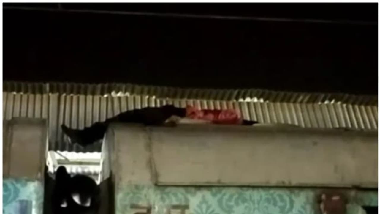 സീറ്റ് കിട്ടിയില്ല, 130 കീ.മി വേഗത്തിൽ പായുന്ന ട്രെയിൻ; റെയിൽവെയെ മുൾമുനയിൽ നിർത്തി യുവാവിന്‍റെ സാഹസിക യാത്ര