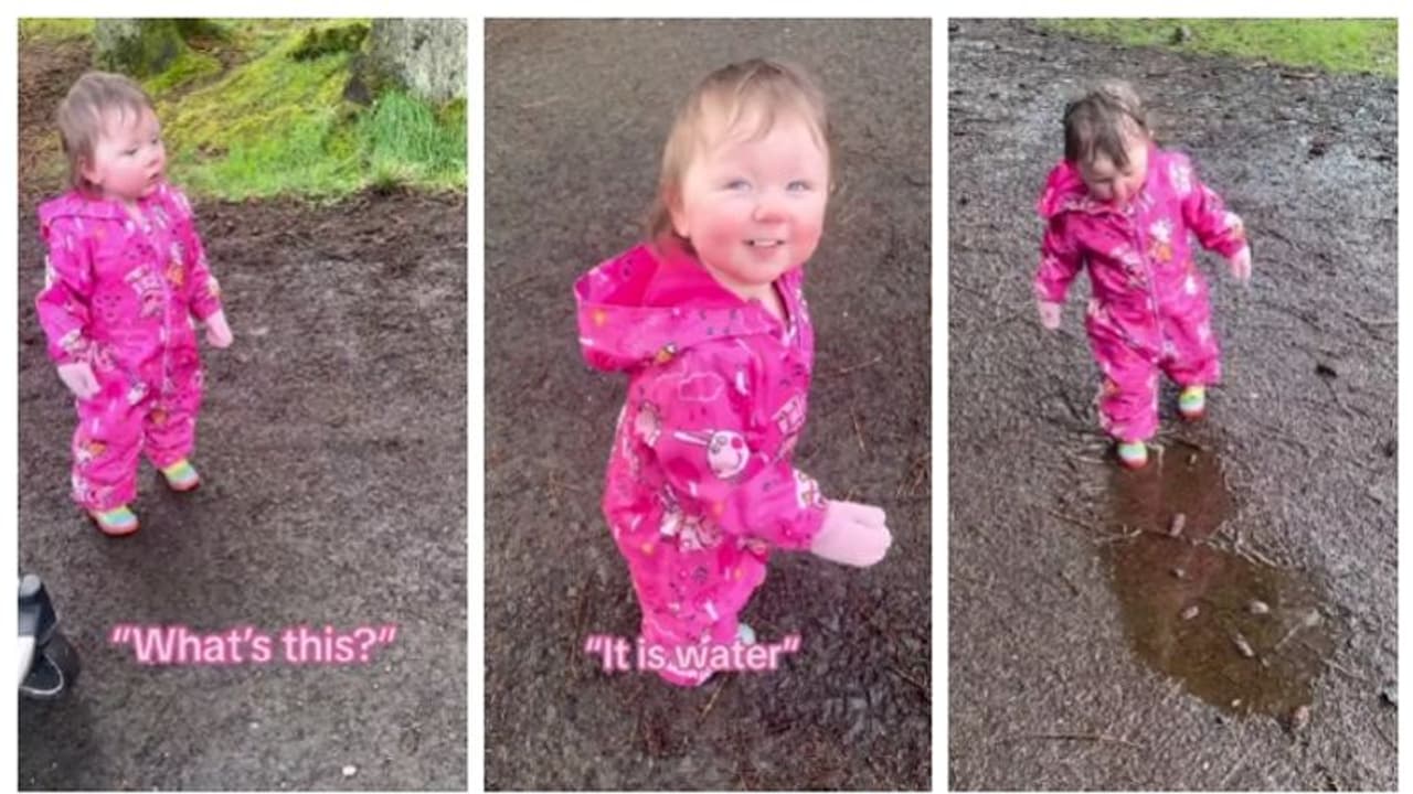 ആദ്യമായി കണ്ടപ്പോള് 'വാട്ട് ഈസ് ദിസ്' എന്ന് കുട്ടി; 'ഇത് ഞങ്ങൾ എടുത്തെന്ന്' സോഷ്യല് മീഡിയയും ആദ്യമായി കണ്ടപ്പോള് 'വാട്ട് ഈസ് ദിസ്' എന്ന് കുട്ടി; 'ഇത് ഞങ്ങൾ എടുത്തെന്ന്' സോഷ്യല് മീഡിയയും