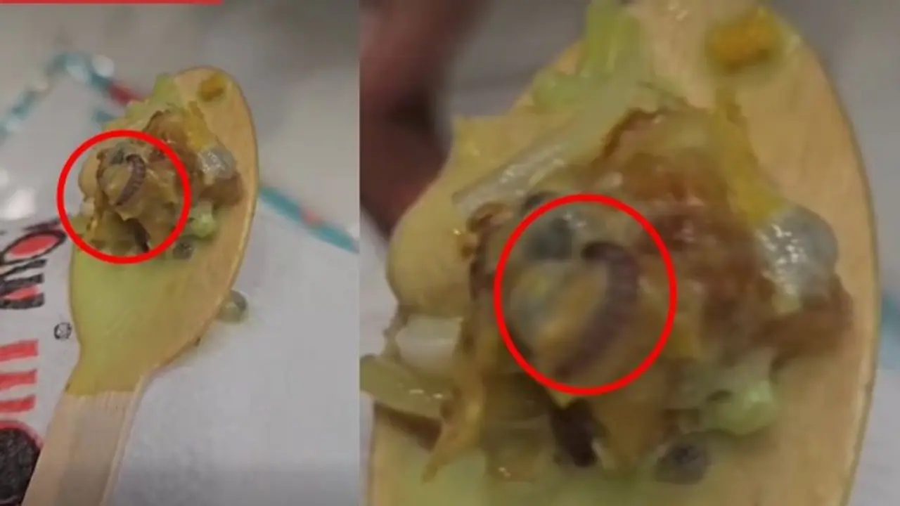 Viral video shows 'worms' in Ice cream inside a shop at mall, sparks outrage (WATCH) Viral video shows 'worms' in Ice cream inside a shop at mall, sparks outrage (WATCH)