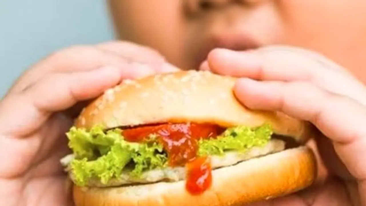 ಏನ್ ಹೇಳಿದ್ರೂ ಹೆಲ್ದೀ ಆಹಾರ ತಿನ್ನಲ್ಲ, ಮಕ್ಕಳ ಜಂಕ್ಫುಡ್ ಅಡಿಕ್ಷನ್ ಹೋಗಲಾಡಿಸುವುದು ಹೇಗೆ? ಏನ್ ಹೇಳಿದ್ರೂ ಹೆಲ್ದೀ ಆಹಾರ ತಿನ್ನಲ್ಲ, ಮಕ್ಕಳ ಜಂಕ್ಫುಡ್ ಅಡಿಕ್ಷನ್ ಹೋಗಲಾಡಿಸುವುದು ಹೇಗೆ?