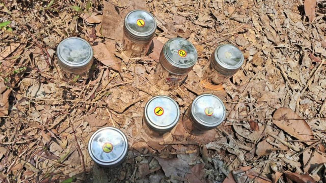 പാനൂര്‍ ബോംബ് നിര്‍മാണം; ഷിജാല്‍ ഡിവൈഎഫ്ഐ ഭാരവാഹി, സ്റ്റീൽ പാത്രങ്ങള്‍ വാങ്ങിയത് കല്ലിക്കണ്ടിയിൽ നിന്ന്