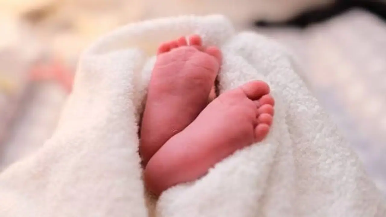 തിരിച്ചറിഞ്ഞത് പേവിഷബാധ, അവശനിലയിലായ കുഞ്ഞ് മരിച്ചു, വീട്ടിൽ നടത്തിയ പരിശോധനയിൽ കണ്ടത്...