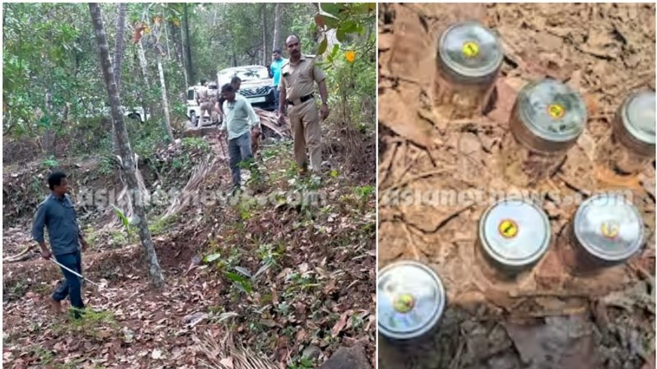 പാനൂര് ബോംബ് നിര്മാണ കേസ്; മൂന്ന് പേര് കൂടി അറസ്റ്റിൽ, പിടിയിലായവരിൽ വെടിമരുന്ന് നല്കിയ ആളും പാനൂര് ബോംബ് നിര്മാണ കേസ്; മൂന്ന് പേര് കൂടി അറസ്റ്റിൽ, പിടിയിലായവരിൽ വെടിമരുന്ന് നല്കിയ ആളും