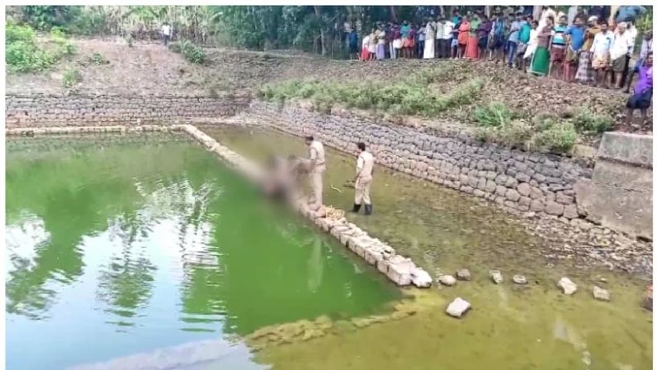 തിരുവനന്തപുരത്ത് വയോധികൻ കുളത്തിൽ മരിച്ച നിലയിൽ തിരുവനന്തപുരത്ത് വയോധികൻ കുളത്തിൽ മരിച്ച നിലയിൽ