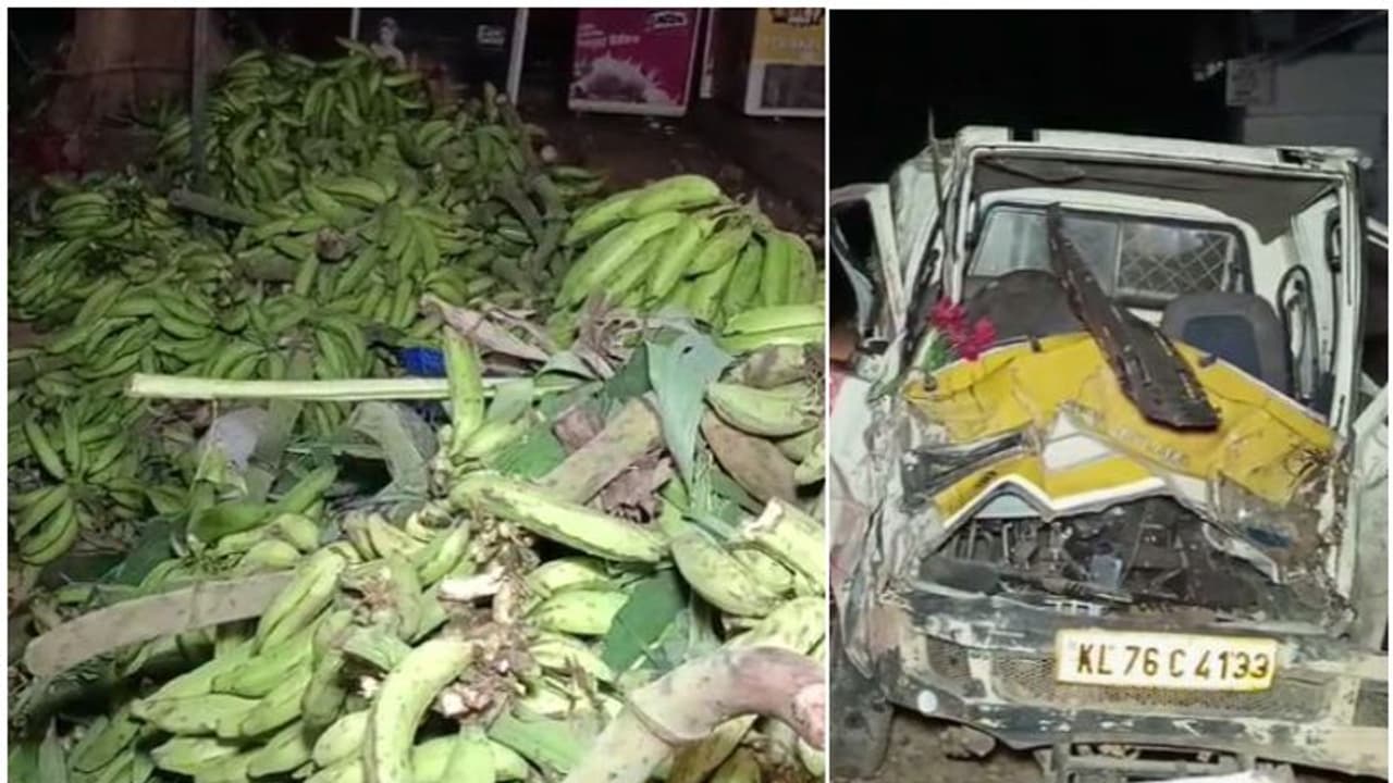 വാഴക്കുലയുമായി ചുരത്തിലെത്തിയ പിക്കപ്പ് വാൻ, നിയന്ത്രണം വിട്ട് ഇലക്ട്രിക് പോസ്റ്റിലും മരത്തിലും ഇടിച്ച് അപകടം