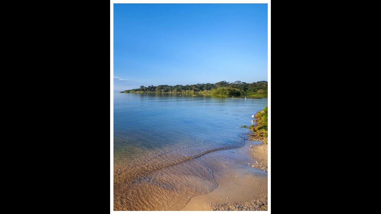 അവധി ആഘോഷങ്ങൾക്ക് തടാകത്തിൽ നീന്തിയവർക്ക് ദേഹാസ്വസ്ഥ്യം, നിരവധിപ്പേർ ആശുപത്രിയിൽ അവധി ആഘോഷങ്ങൾക്ക് തടാകത്തിൽ നീന്തിയവർക്ക് ദേഹാസ്വസ്ഥ്യം, നിരവധിപ്പേർ ആശുപത്രിയിൽ