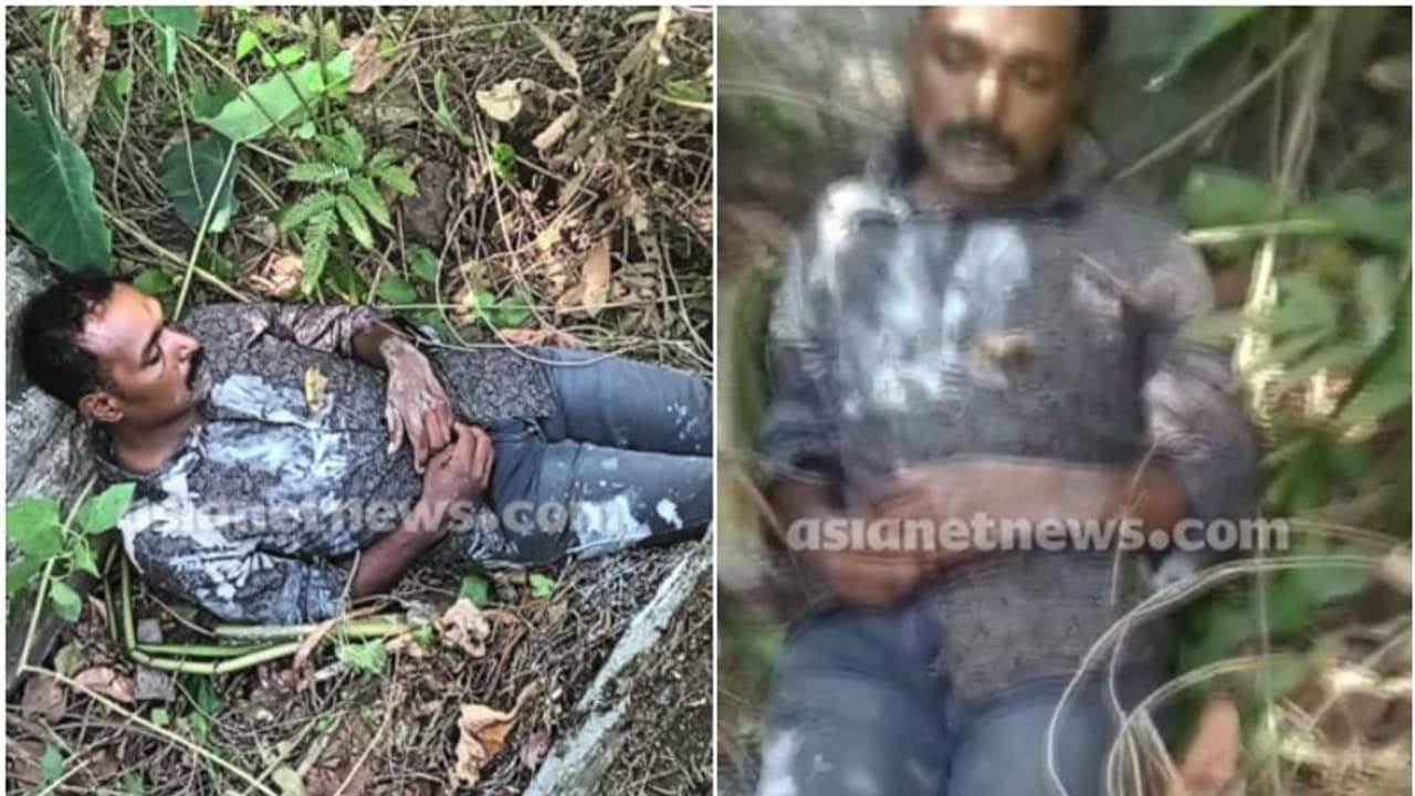 ഭാര്യയെയും മകളെയുമടക്കം 3 പേരെ ചുറ്റികയ്ക്ക് അടിച്ചുകൊല്ലാൻ ശ്രമം; വയനാട്ടില് യുവാവ് പിടിയില് ഭാര്യയെയും മകളെയുമടക്കം 3 പേരെ ചുറ്റികയ്ക്ക് അടിച്ചുകൊല്ലാൻ ശ്രമം; വയനാട്ടില് യുവാവ് പിടിയില്