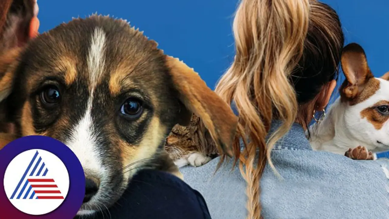  ಪ್ರಾಣಿಗಳನ್ನು ಅತೀ ಪ್ರೀತಿಸೋದೊಂದು ರೋಗ,! 159 ಪ್ರಾಣಿ ಸಾಕಿ ಸಂಕಷ್ಟಕ್ಕೀಡಾದ ಮಹಿಳೆ