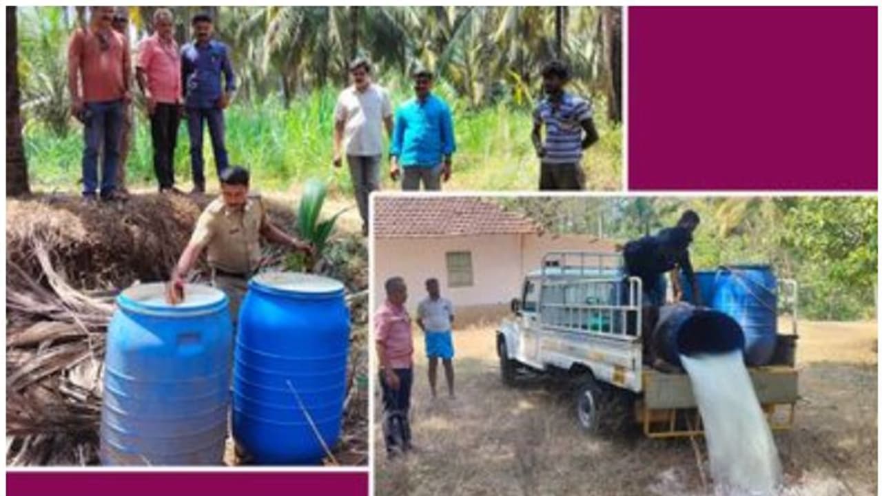 അല്ലെങ്കിലേ ചുട്ട് പൊള്ളുന്ന നാട്; ഷെഡ്ഡുകളിൽ വരെ വിടാതെ പരിശോധിച്ച് എക്സൈസ്, പിടിച്ചെടുത്തത് പഴകിയ കള്ള് അല്ലെങ്കിലേ ചുട്ട് പൊള്ളുന്ന നാട്; ഷെഡ്ഡുകളിൽ വരെ വിടാതെ പരിശോധിച്ച് എക്സൈസ്, പിടിച്ചെടുത്തത് പഴകിയ കള്ള്