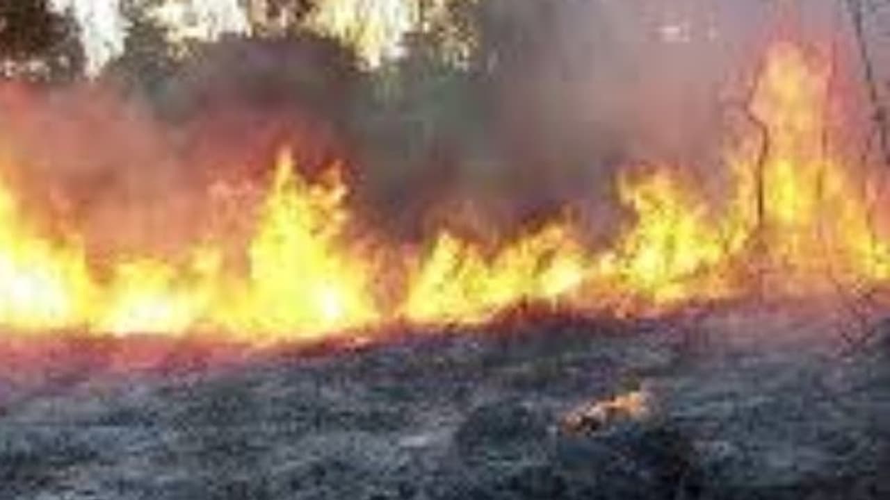 പറമ്പില്‍ തീപ്പിടുത്തം, തീ അണയ്ക്കുന്നതിനിടെ പൊള്ളലേറ്റ് മരിച്ചു