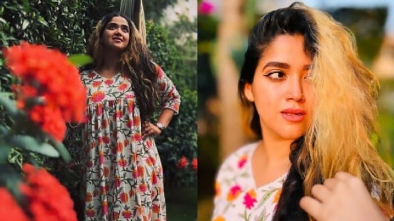 'അത് വലിയ കാര്യം ഒന്നും അലല്ലോ, അനാവശ്യമൊന്നും ഇങ്ങോട്ട് വേണ്ട' കലക്കന്‍ മറുപടിയുമായി അഭിരാമി