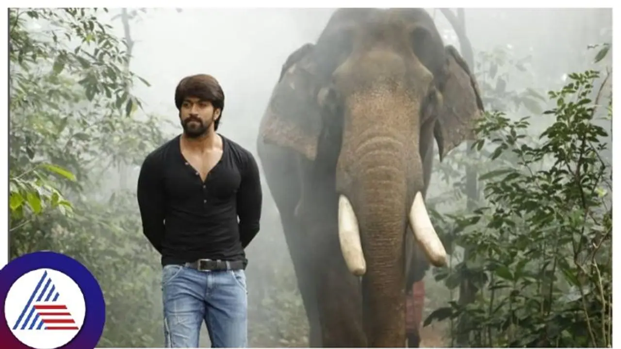 ಹಾಸನದಲ್ಲೇ ಹುಟ್ಟಿರೋ ಮಗ ನಾನು, ನಮ್ ತಂದೆ ತಾಯಿ ಹಾಸನದವ್ರೇ..; KGF ಸ್ಟಾರ್ ಯಶ್!