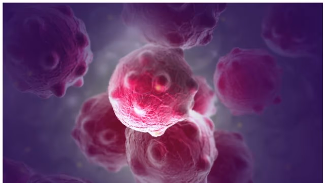 ക്യാൻസർ ; ശരീരം കാണിക്കുന്ന 8 ലക്ഷണങ്ങൾ ക്യാൻസർ ; ശരീരം കാണിക്കുന്ന 8 ലക്ഷണങ്ങൾ