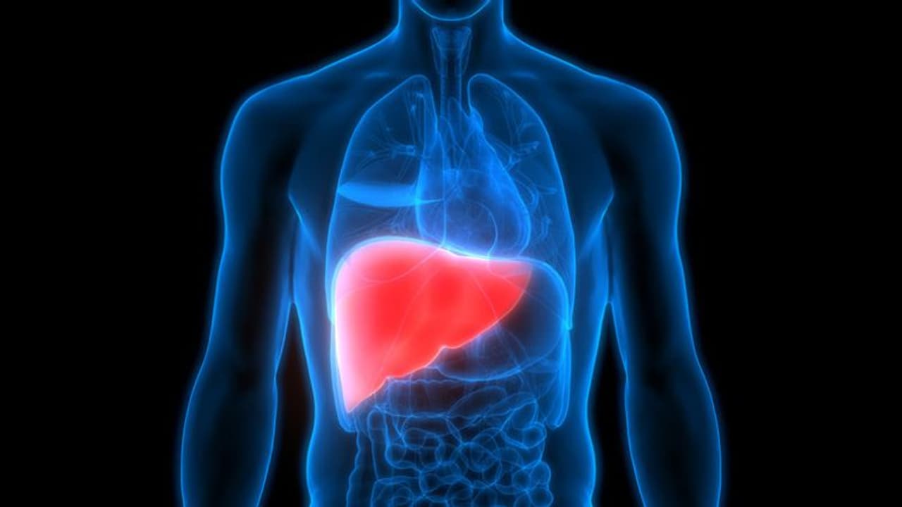 World Liver Day 2024 : നോൺ   ആൽക്കഹോളിക് ഫാറ്റി ലിവർ ; ശ്രദ്ധിക്കേണ്ടത് എന്തൊക്കെ? 