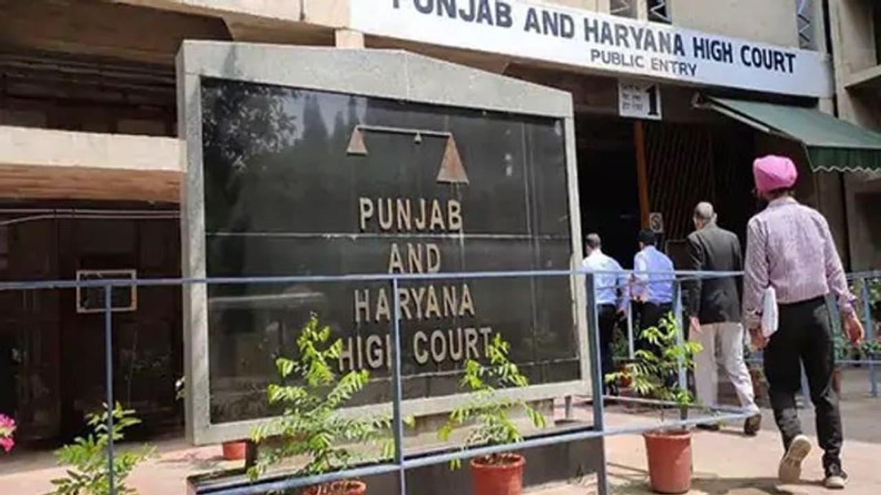 पंजाब हाईकोर्ट ने कहा, "द्रौपदी के चीरहरण" की याद दिला रही ये घटना, सरकार दे स्टेटस रिपोर्ट 