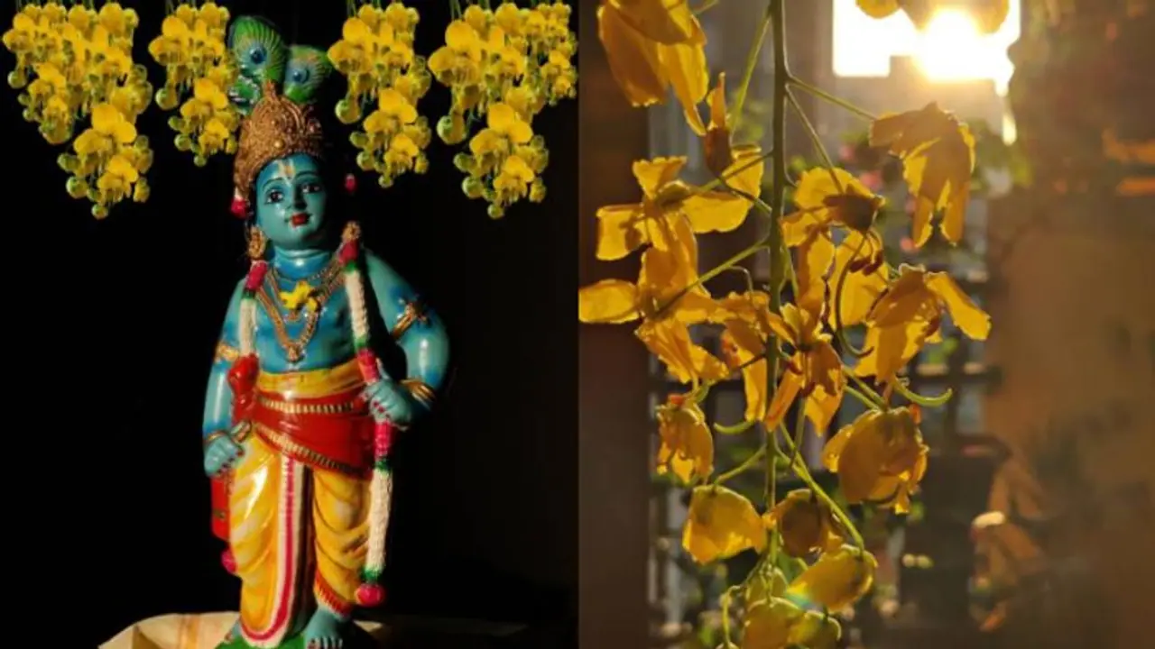 Kerala: Guruvayur temple's Vishu Kani darshan set for April 14; Check timings and more Kerala: Guruvayur temple's Vishu Kani darshan set for April 14; Check timings and more