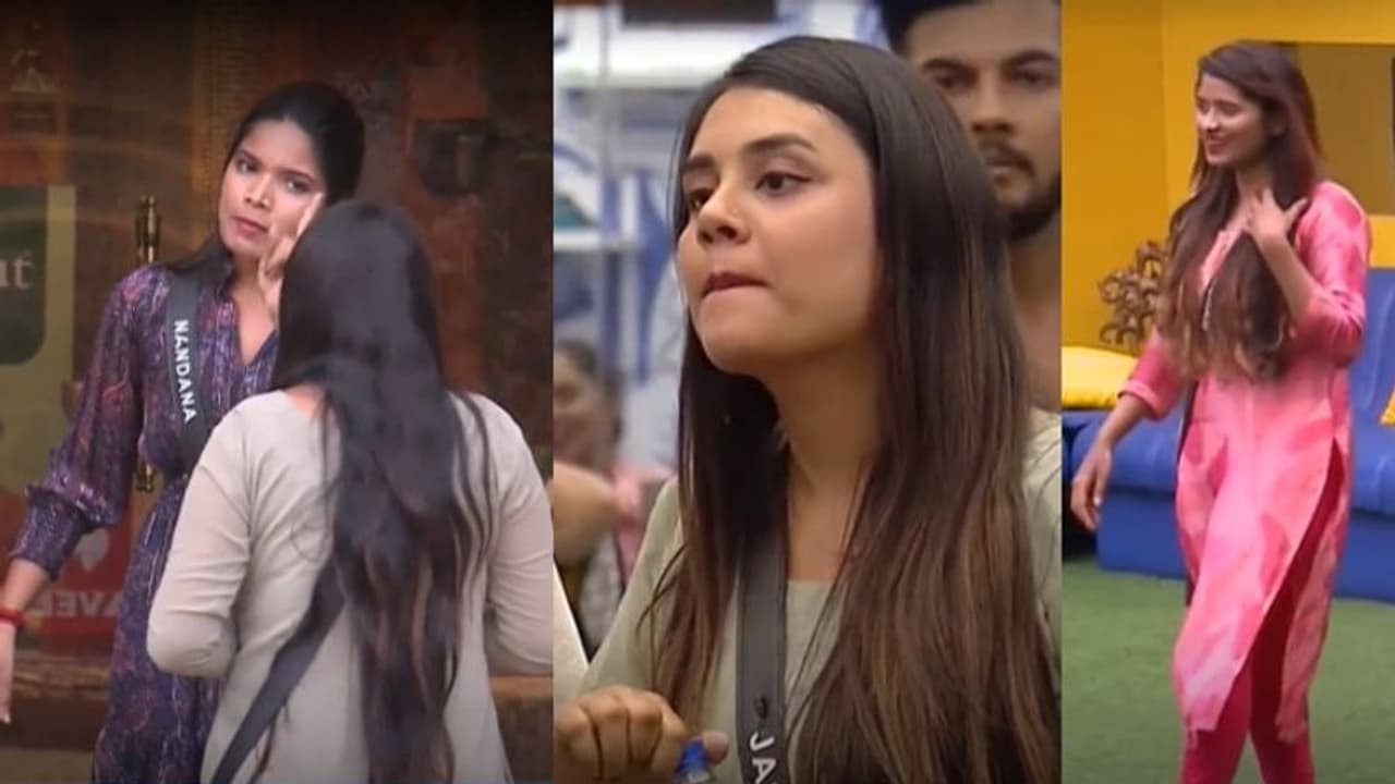 പൂരം കൊടിയേറി മക്കളേ..; ജാസ്മിനെ നിര്‍ത്തിപ്പൊരിച്ച് നന്ദന, ചിരി അടക്കാനാകാതെ നോറ