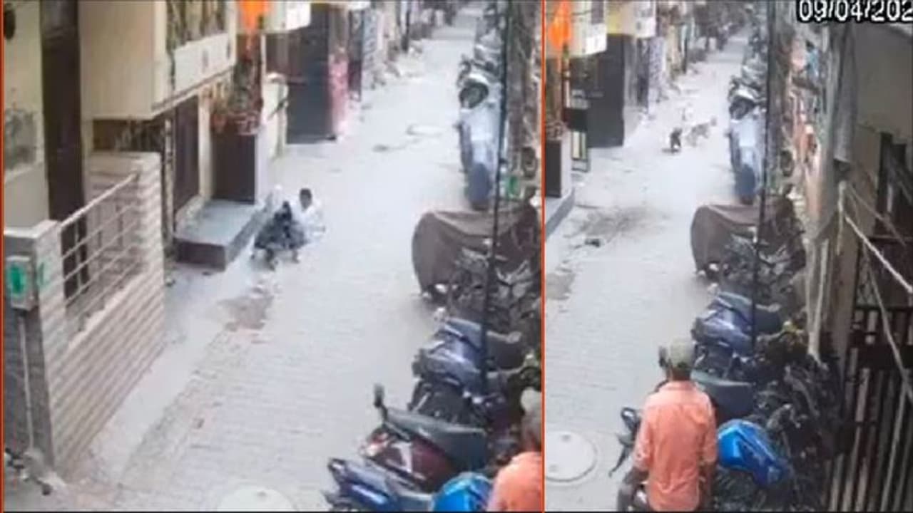 ಬಾಲಕನ ಮೇಲೆ ಫಿಟ್ಬುಲ್ ನಾಯಿ ದಾಳಿ: ನೋಡುತ್ತಾ ನಿಂತ ಜನ, ರಕ್ಷಣೆಗೆ ಬಂದ ಬೀದಿನಾಯಿಗಳು .. ವೀಡಿಯೋ ಬಾಲಕನ ಮೇಲೆ ಫಿಟ್ಬುಲ್ ನಾಯಿ ದಾಳಿ: ನೋಡುತ್ತಾ ನಿಂತ ಜನ, ರಕ್ಷಣೆಗೆ ಬಂದ ಬೀದಿನಾಯಿಗಳು .. ವೀಡಿಯೋ