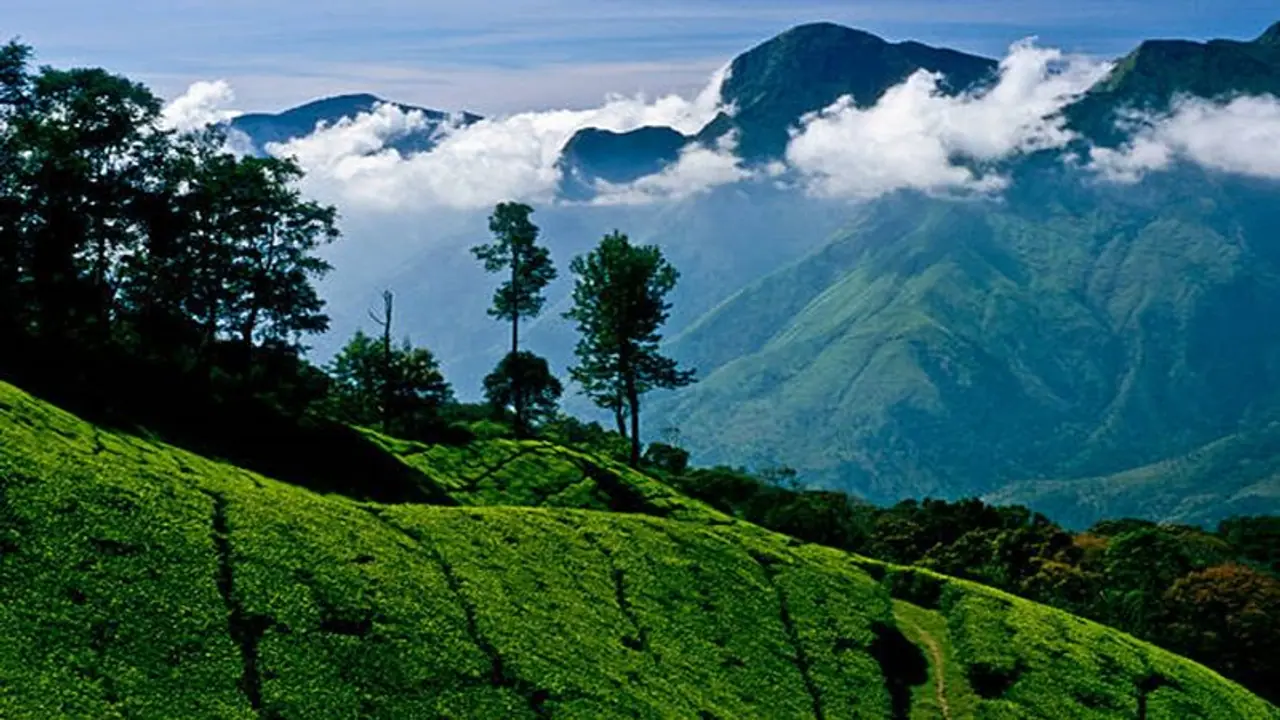 Ooty Lake to The Tea Factory: 7 Most Scenic tourist places to visit in Ooty