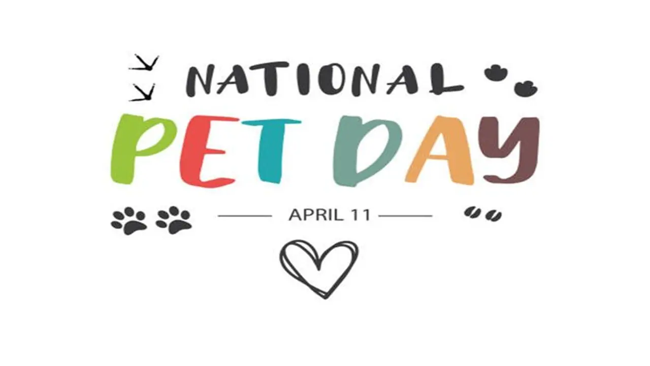 National Pet Day 2024: Here is everything you need to know