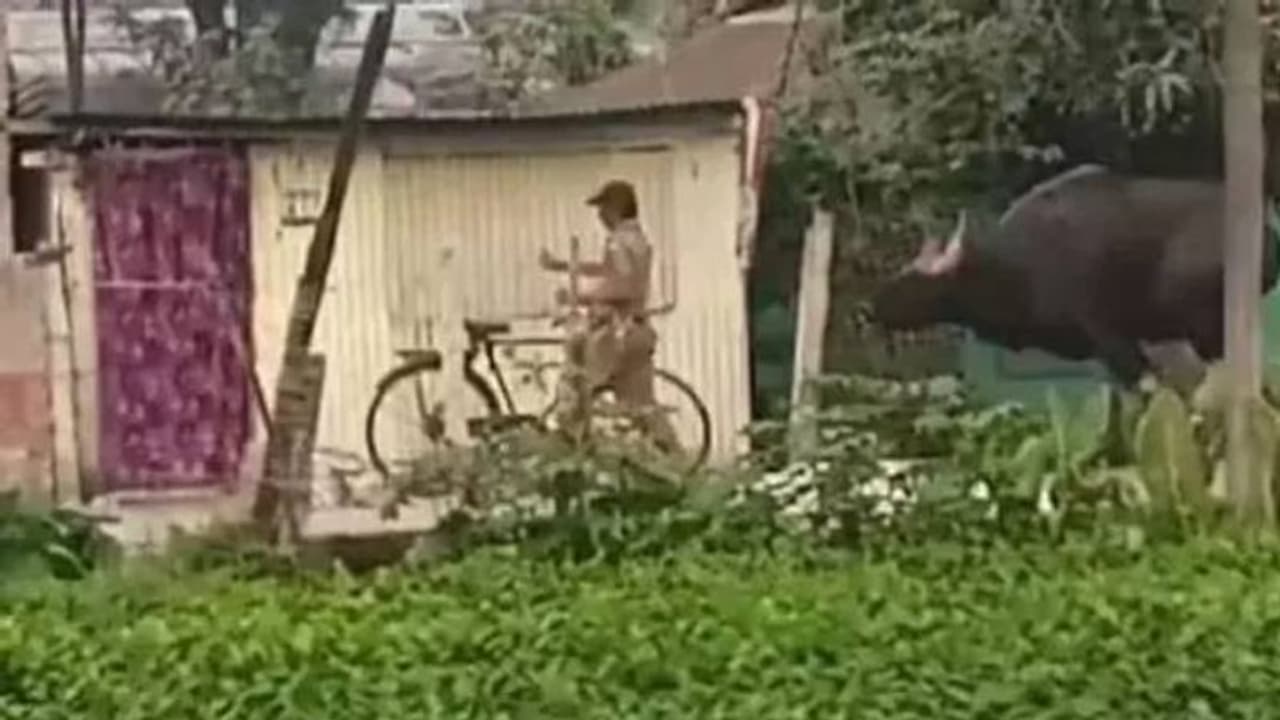 'കാട്ടുപോത്താണ് ഞാൻ കാട്ടിത്തരാം'; വന്യമൃ​ഗങ്ങളെ പ്രകോപിപ്പിച്ചാൽ ഇങ്ങനിരിക്കും, താക്കീതായി വീഡിയോ