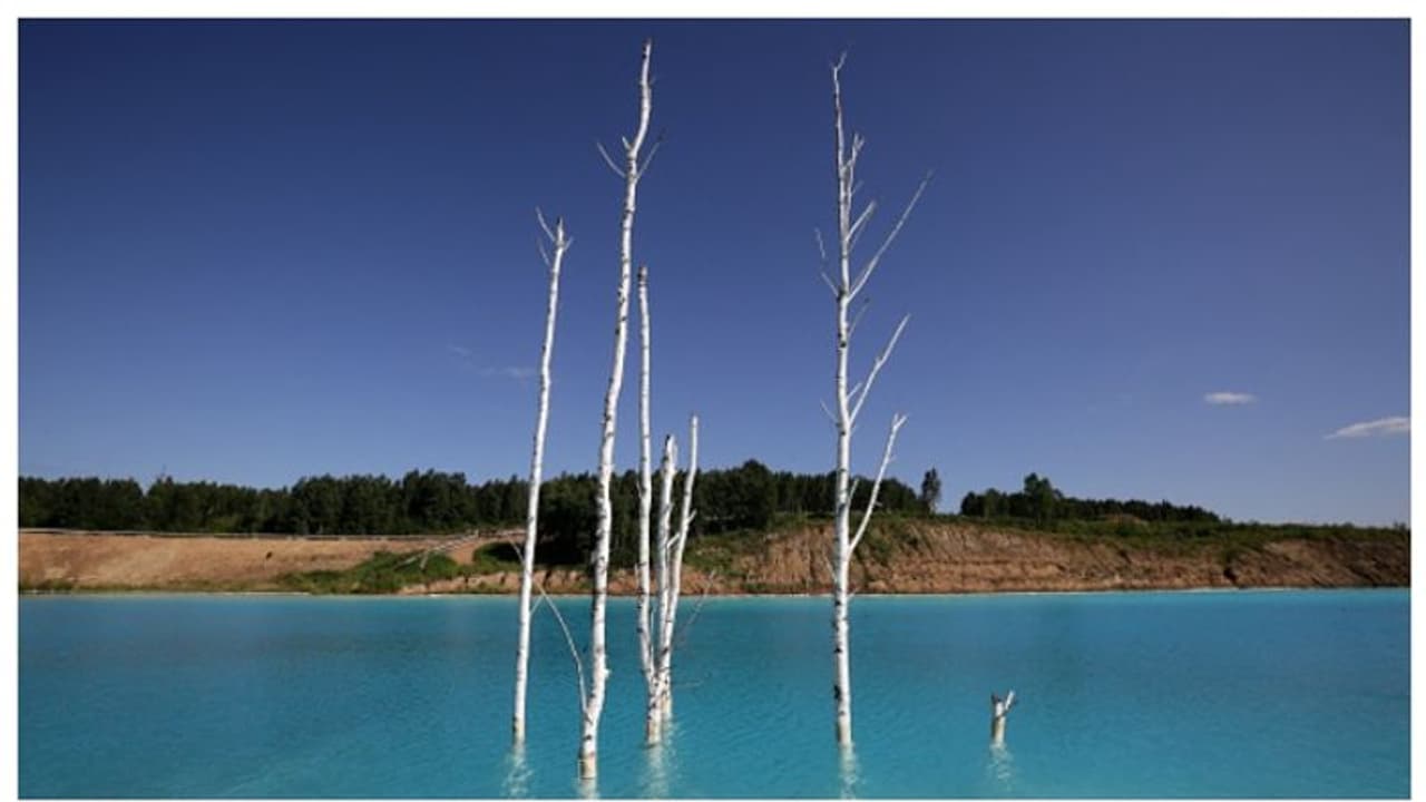 സോഷ്യല് മീഡിയയിലെ വൈറല് ഫോട്ടോ സ്പോട്ട്; പക്ഷേ, തടാകത്തിലെ വെള്ളം തൊട്ട് പോകരുതെന്ന് ശാസ്ത്രജ്ഞർ സോഷ്യല് മീഡിയയിലെ വൈറല് ഫോട്ടോ സ്പോട്ട്; പക്ഷേ, തടാകത്തിലെ വെള്ളം തൊട്ട് പോകരുതെന്ന് ശാസ്ത്രജ്ഞർ