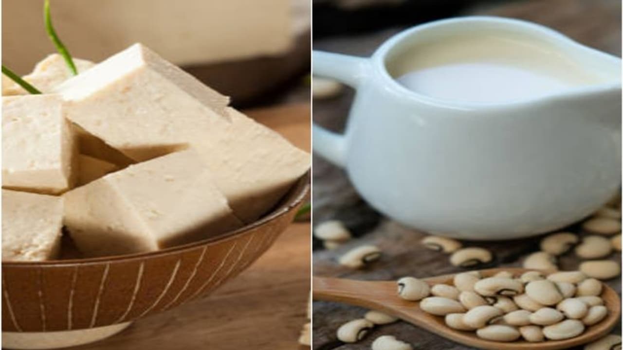  Health and Fitness: A Plant Based protein source that helps in body growth