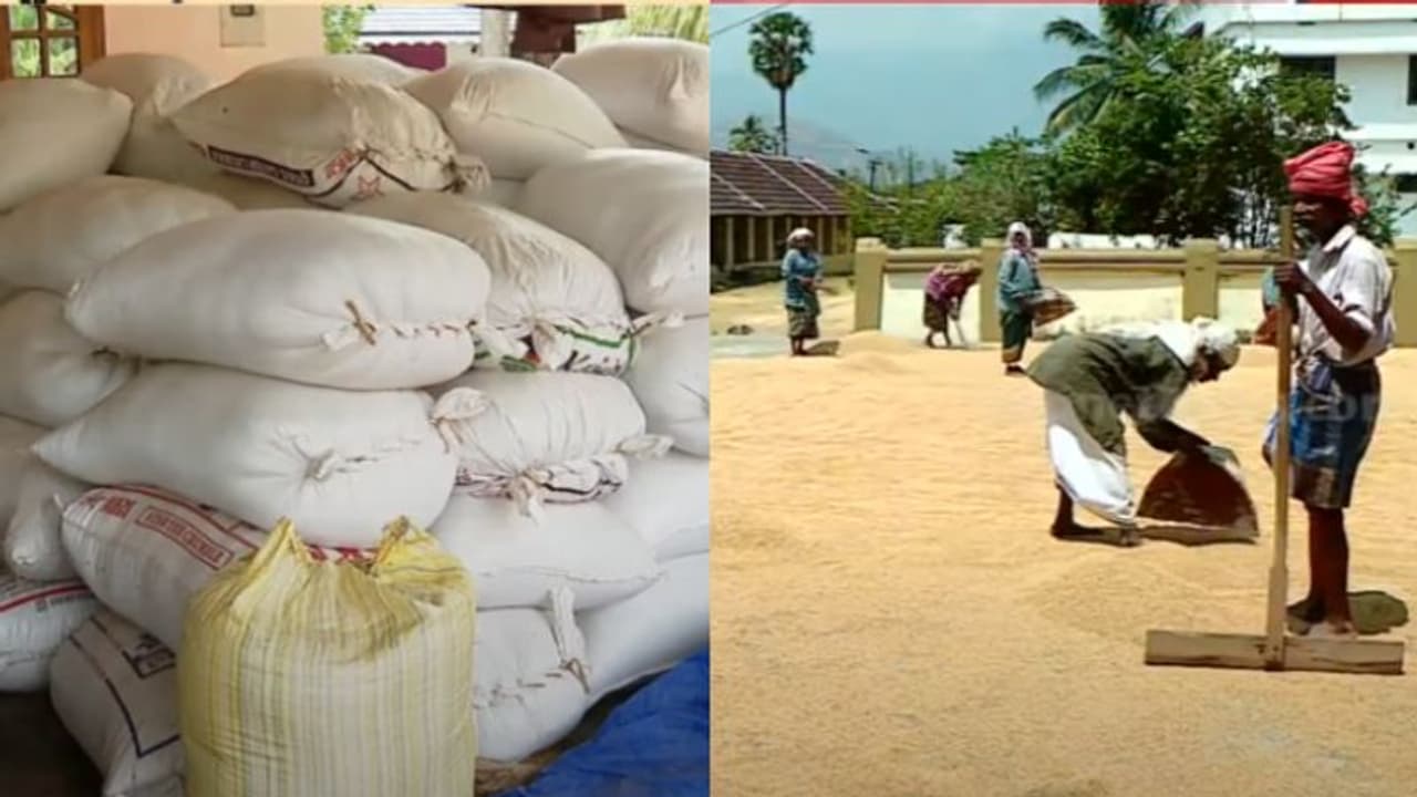 കൊയ്തിട്ട് രണ്ട് മാസം, സപ്ലൈകോ വരുന്നതും കാത്ത് 40000 പേർ; വിഷുവിന് മുണ്ട് മുറുക്കിയുടുക്കേണ്ട അവസ്ഥയിൽ കർഷകർ കൊയ്തിട്ട് രണ്ട് മാസം, സപ്ലൈകോ വരുന്നതും കാത്ത് 40000 പേർ; വിഷുവിന് മുണ്ട് മുറുക്കിയുടുക്കേണ്ട അവസ്ഥയിൽ കർഷകർ