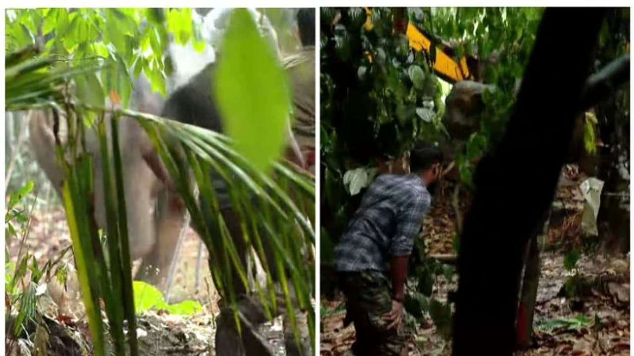 15 മണിക്കൂർ! ദൗത്യം വിജയം; കിണറ്റിൽ വീണ കാട്ടാനയെ രക്ഷപ്പെടുത്തി, കാട്ടിലേക്ക് തുരത്തി; പ്രതിഷേധം ശക്തം 15 മണിക്കൂർ! ദൗത്യം വിജയം; കിണറ്റിൽ വീണ കാട്ടാനയെ രക്ഷപ്പെടുത്തി, കാട്ടിലേക്ക് തുരത്തി; പ്രതിഷേധം ശക്തം