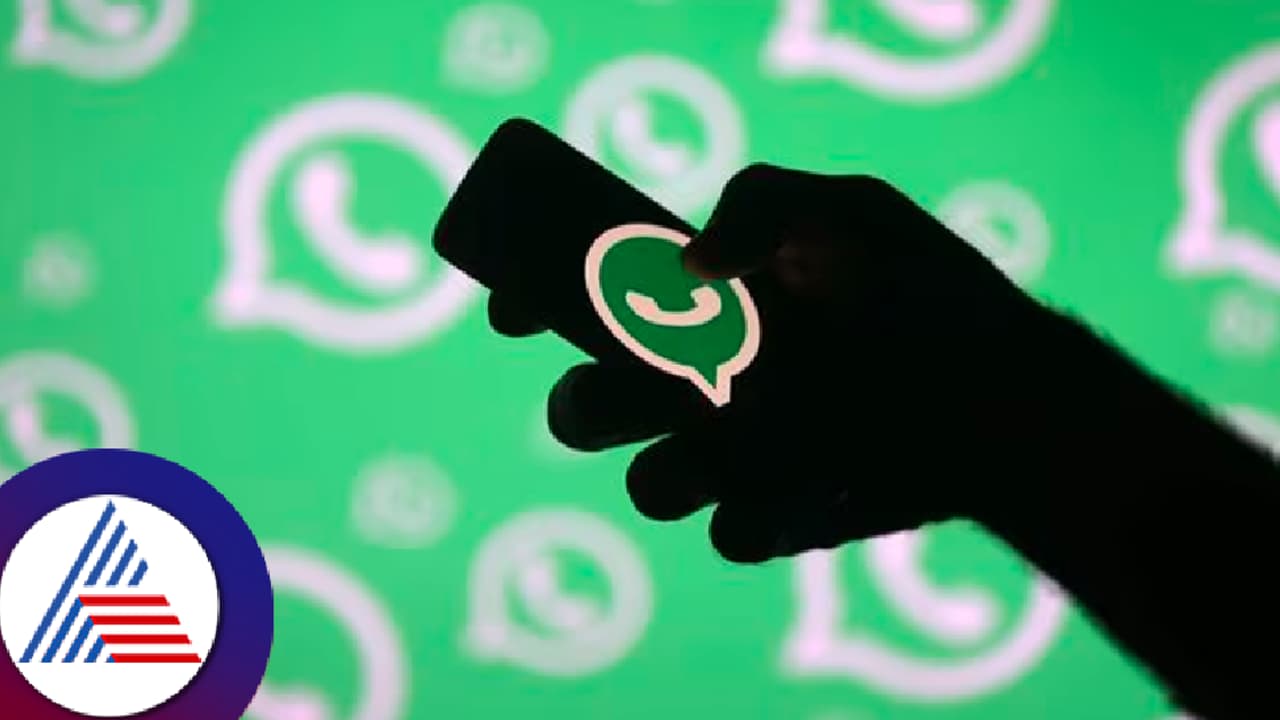 whatsapp chat whatsapp chat