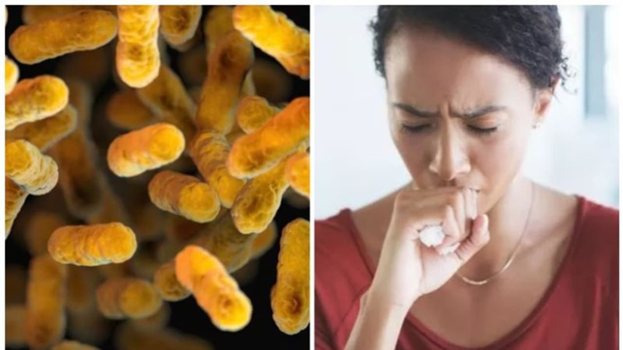 വില്ലൻ ചുമയെ സൂക്ഷിക്കണം ; ലക്ഷണങ്ങൾ ഇതൊക്കെ