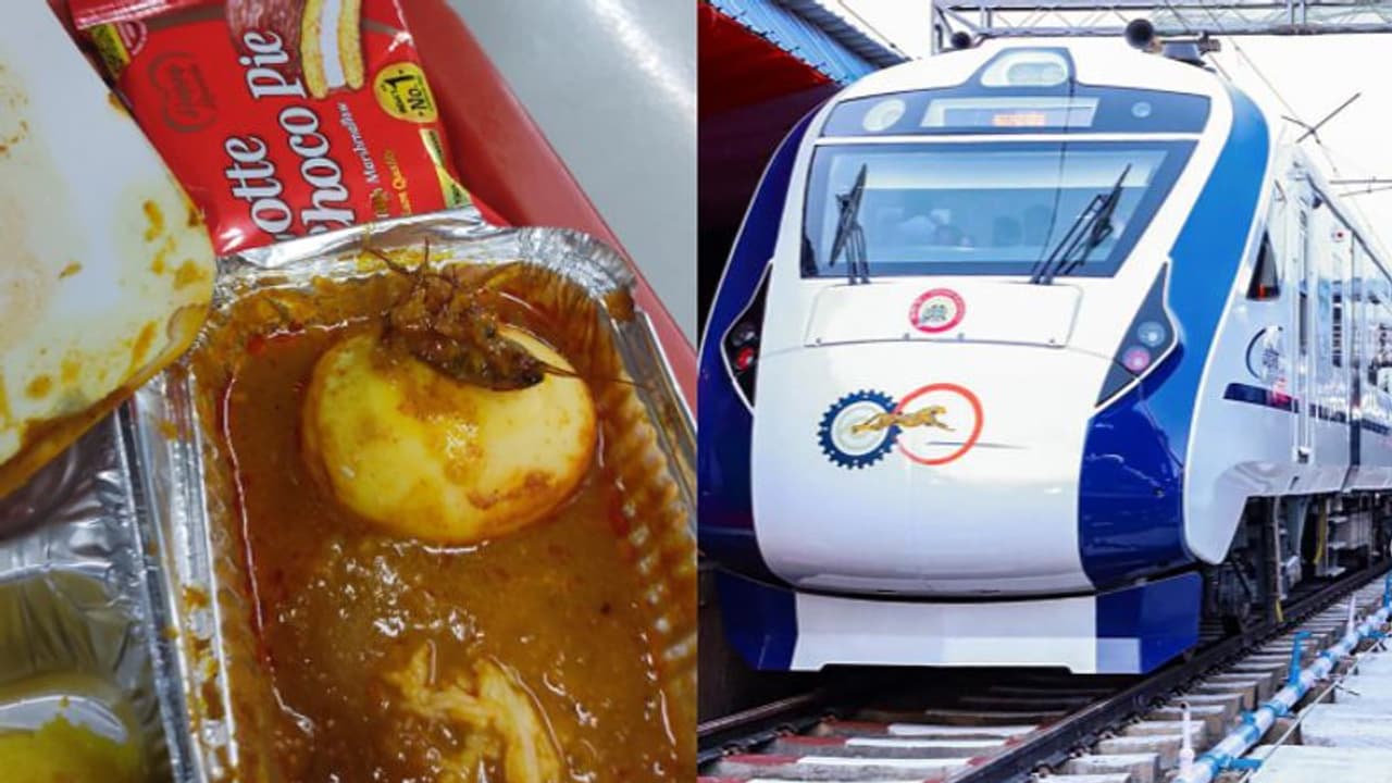 'ശരിക്കും നോൺവെജ് തന്നെ'; വന്ദേഭാരത് എക്സ്പ്രസിലെ മുട്ടക്കറിയിൽ ചത്ത പാറ്റ, കണ്സ്യൂമര് കോടതിയില് പരാതി 'ശരിക്കും നോൺവെജ് തന്നെ'; വന്ദേഭാരത് എക്സ്പ്രസിലെ മുട്ടക്കറിയിൽ ചത്ത പാറ്റ, കണ്സ്യൂമര് കോടതിയില് പരാതി