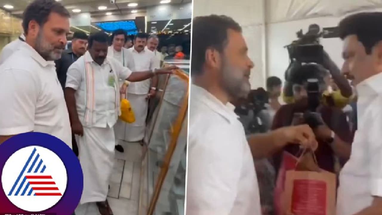ಮಿಠಾಯಿ ಅಂಗಡಿಗೆ ಹಠಾತ್ ಭೇಟಿ; ಜಾಮೂನು ತಿಂದು ಸ್ಟಾಲಿನ್‌ಗೆ ಮೈಸೂರು ಪಾಕ್ ತಿನ್ನಿಸಿದ ರಾಹುಲ್ ಗಾಂಧಿ!