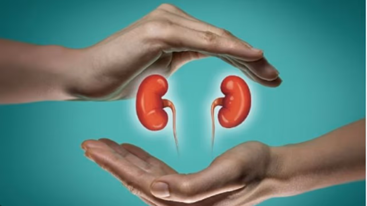 കിഡ്നിയെ കേടാക്കുന്ന മൂന്ന് ഭക്ഷണങ്ങൾ ഒഴിവാക്കൂ 