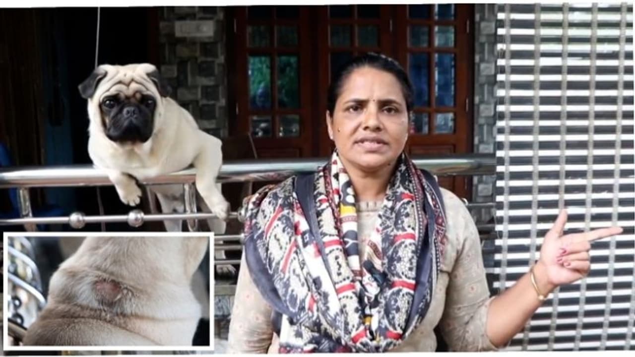 വീടിന് മുന്നിൽ നിന്ന പഗിനെ കുത്തി, തടയാൻ ശ്രമിച്ച വീട്ടമ്മയ്ക്ക് അസഭ്യവർഷം; ഉടൻ പ്രതികളെ പിടികൂടുമെന്ന് പൊലീസ് വീടിന് മുന്നിൽ നിന്ന പഗിനെ കുത്തി, തടയാൻ ശ്രമിച്ച വീട്ടമ്മയ്ക്ക് അസഭ്യവർഷം; ഉടൻ പ്രതികളെ പിടികൂടുമെന്ന് പൊലീസ്